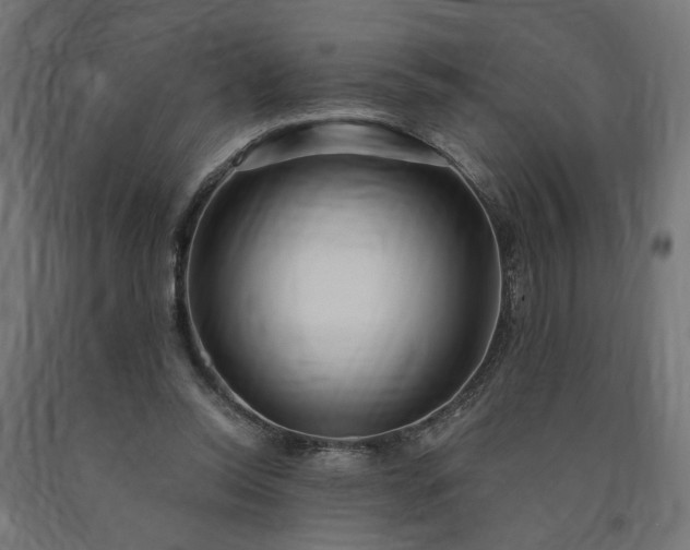 X0000090720350200708031505