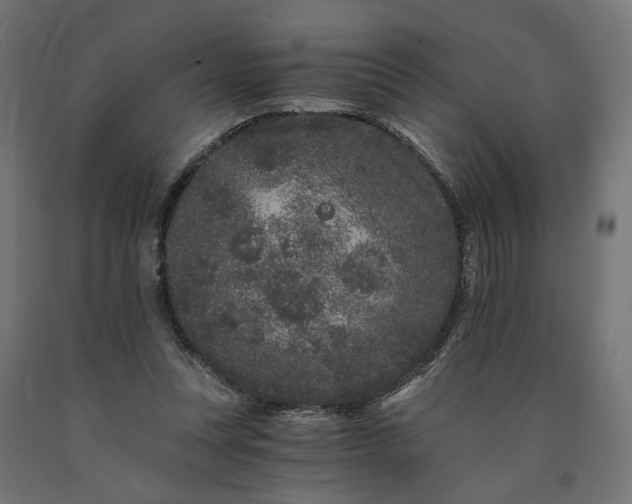 X0000090720351200708031505