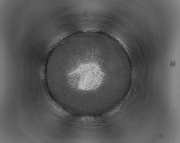 X0000090720353200708031505