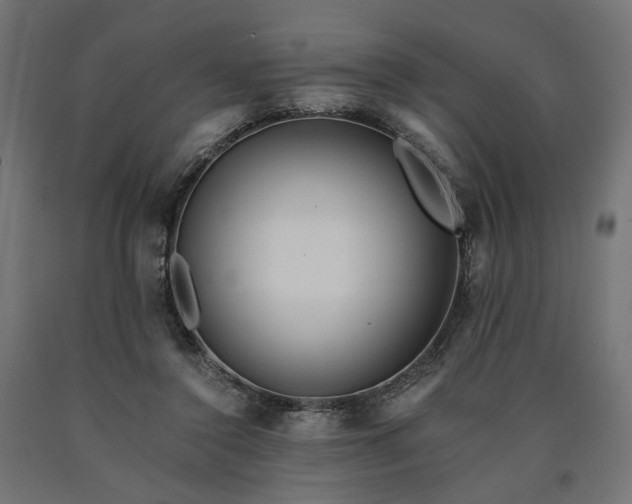 X0000090720356200708031505