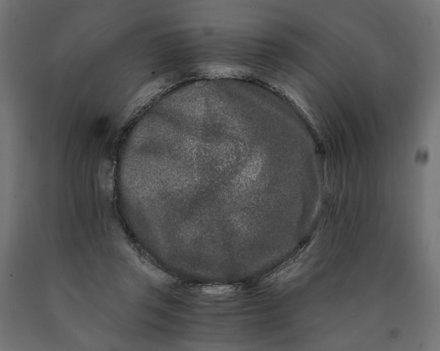 X0000090720357200708031505
