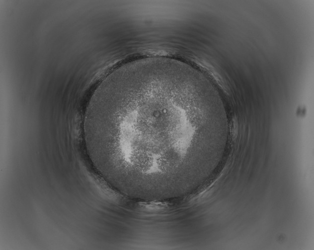 X0000090720359200708031505