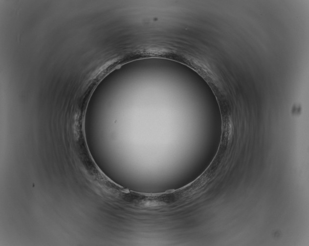 X0000090720360200708031505