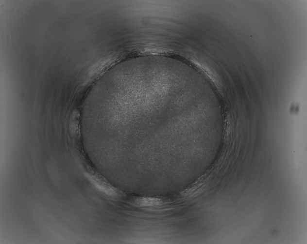 X0000090720361200708031505