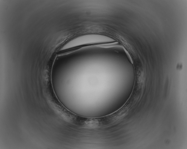 X0000090720362200708031505