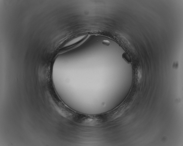 X0000090720364200708031505