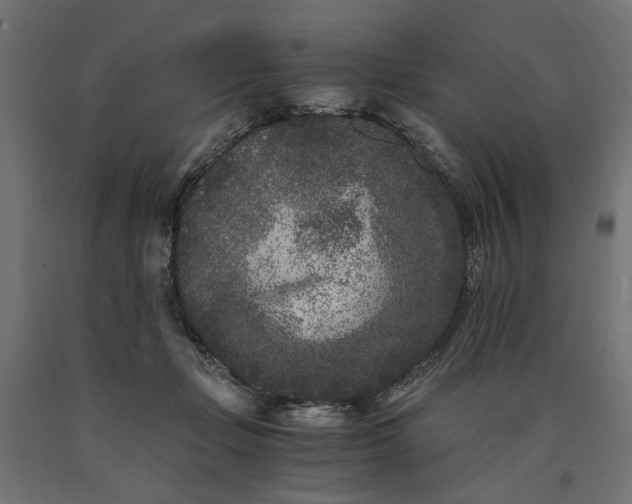 X0000090720365200708031506