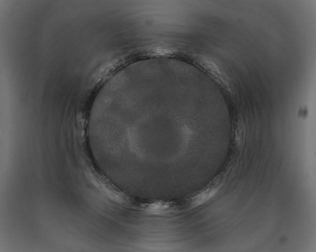 X0000090720366200708031506