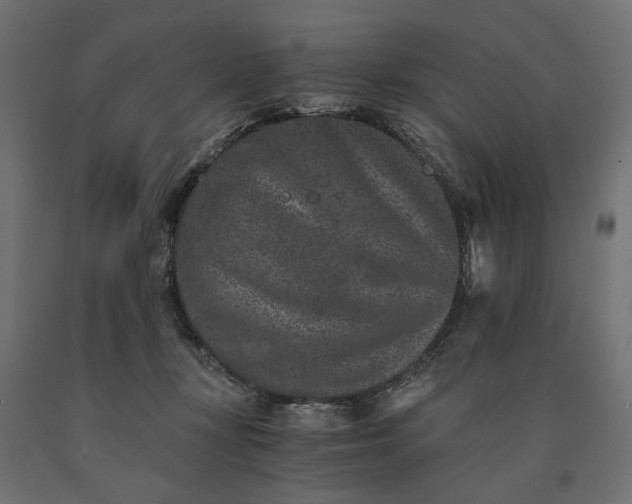 X0000090720367200708031506