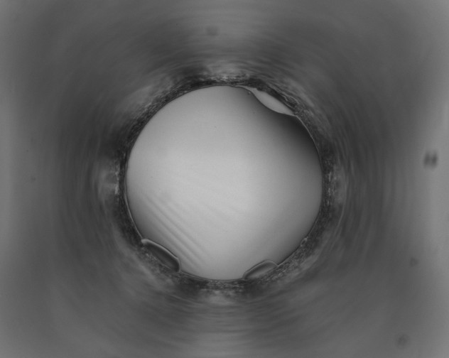 X0000090720368200708031506