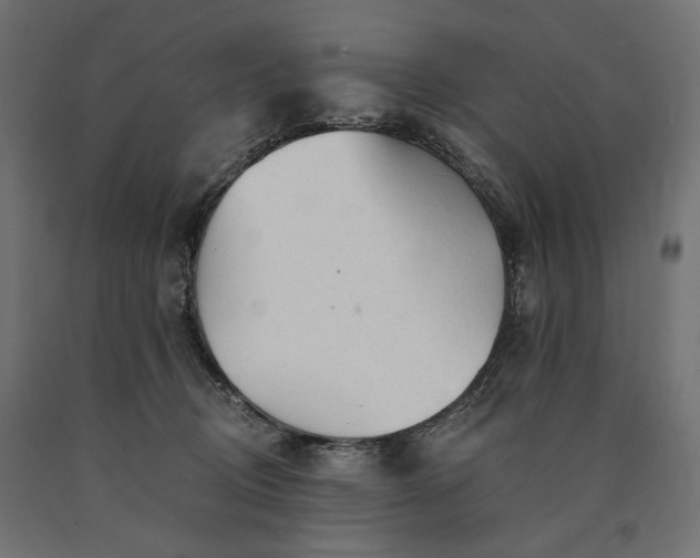 X0000090720370200708031506