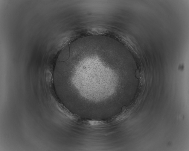 X0000090720371200708031506