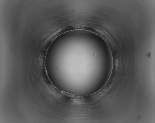 X0000090720372200708031506