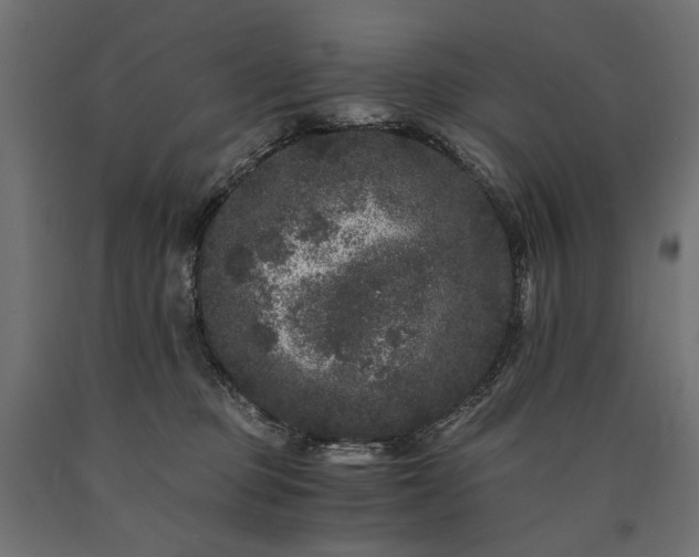X0000090720373200708031506
