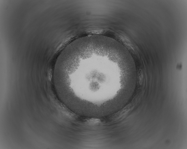 X0000090720374200708031506