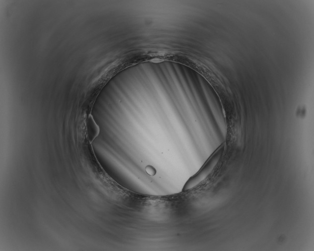 X0000090720376200708031506