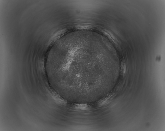 X0000090720377200708031506