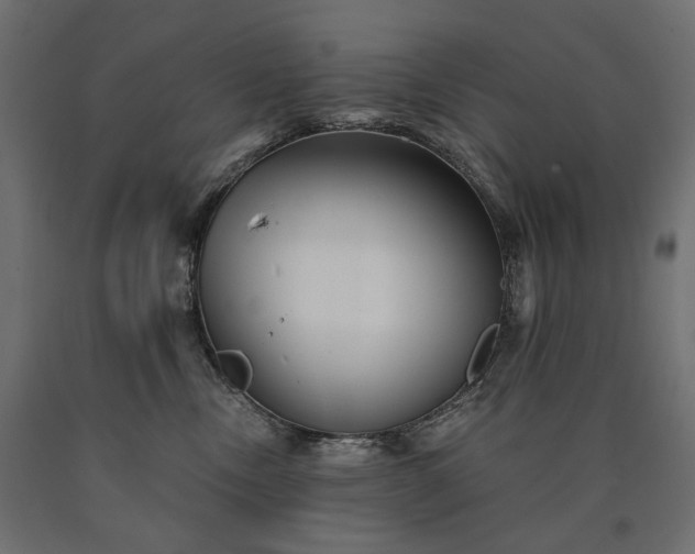 X0000090720378200708031506