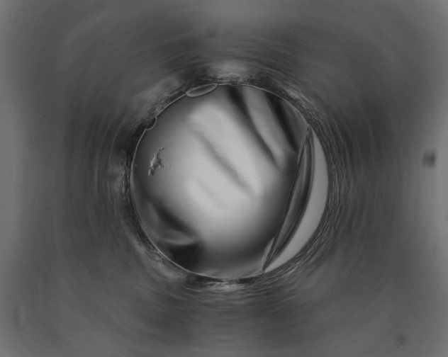 X0000090720379200708031506
