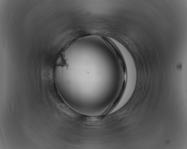 X0000090720380200708031506
