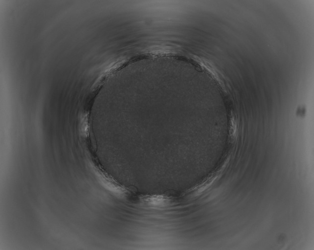 X0000090720383200708031506