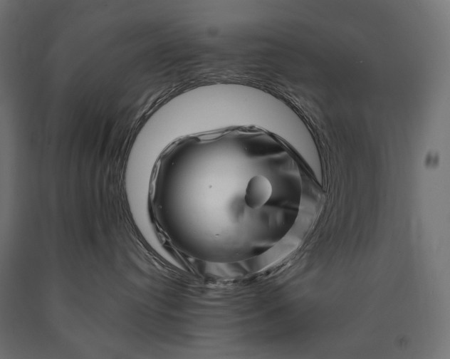 X0000090720384200708031506