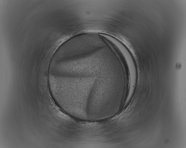 X0000090720385200708031505