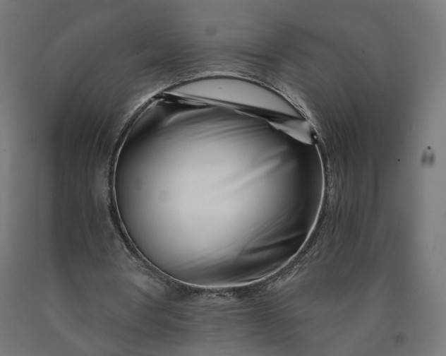 X0000090720386200708031505