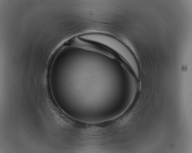 X0000090720387200708031505