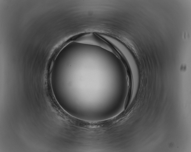 X0000090720388200708031505