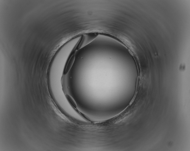 X0000090720389200708031505