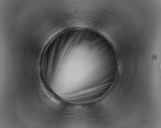 X0000090720390200708031505