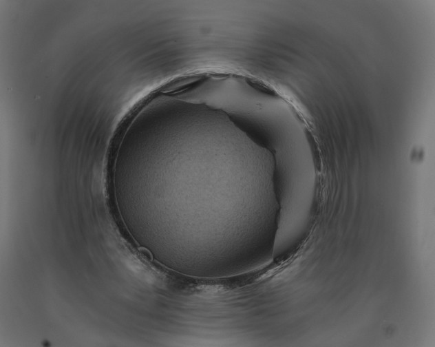 X0000090720391200708031505