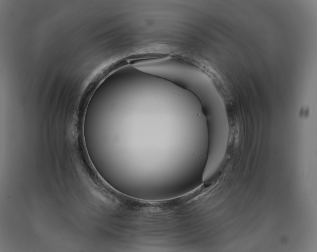 X0000090720392200708031505