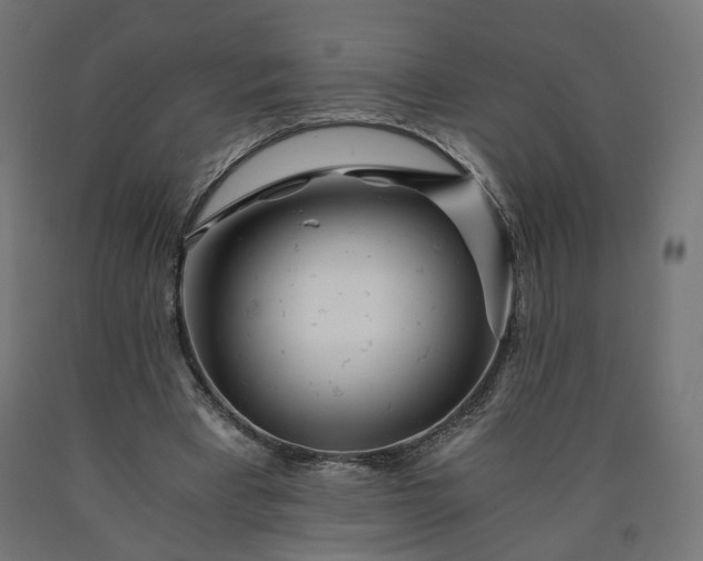 X0000090720393200708031505