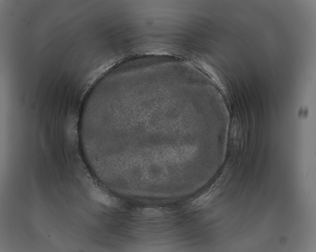 X0000090720394200708031505