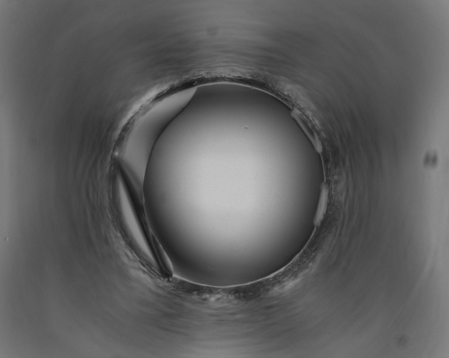 X0000090720395200708031505