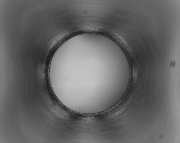 X0000090720396200708031505