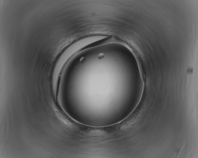 X0000090720397200708031505