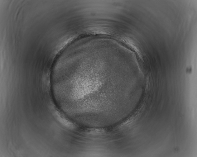 X0000090720398200708031505