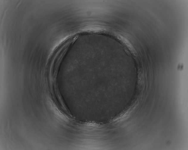 X0000090720399200708031505