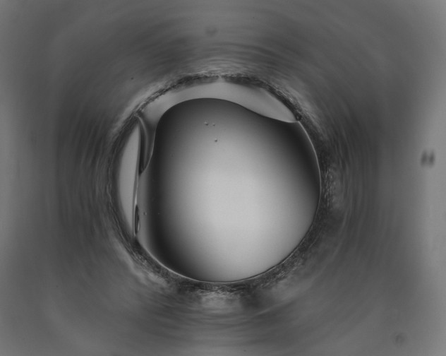 X0000090720400200708031505