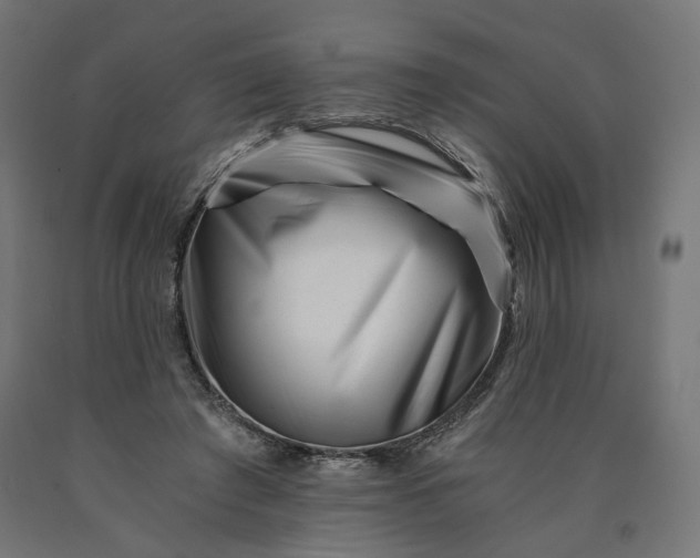 X0000090720401200708031505