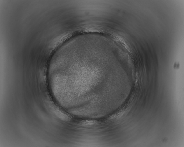 X0000090720402200708031505