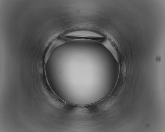 X0000090720403200708031505