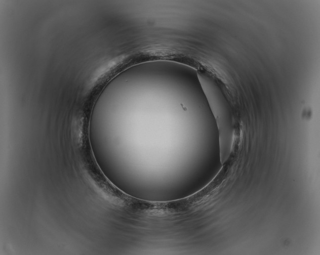 X0000090720404200708031505