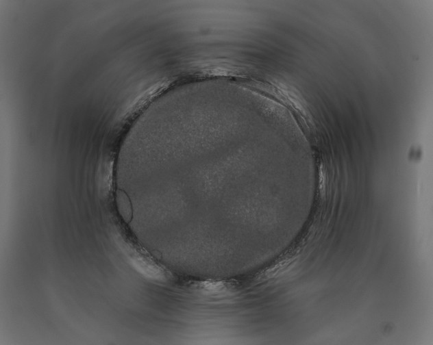 X0000090720406200708031505