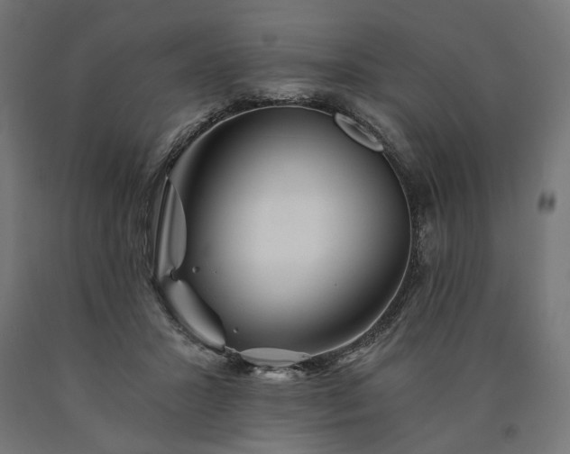 X0000090720407200708031505