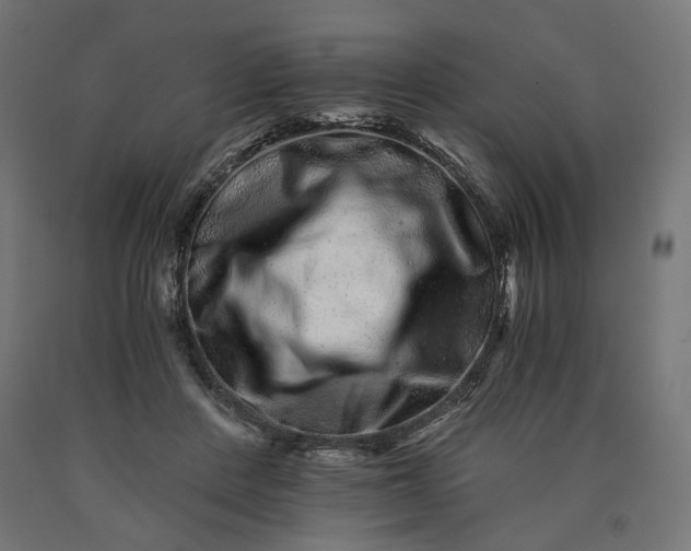 X0000090720408200708031505