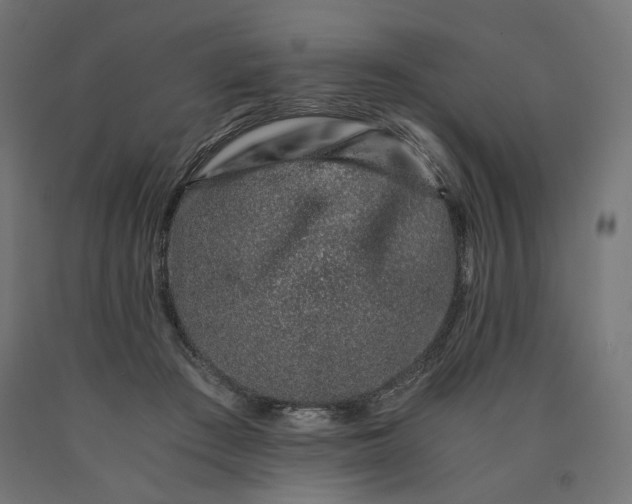 X0000090720409200708031505